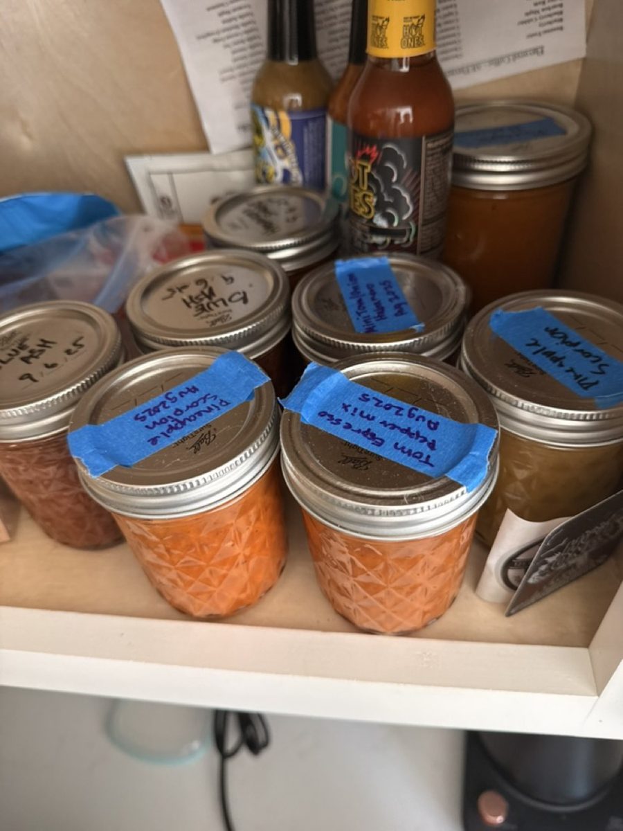 Blue Ash jars dated 9.6.25 on the shelf with the rest of the pepper program