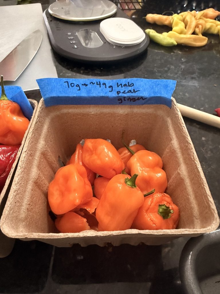Habaneros in a carton labeled for the pear ginger batch