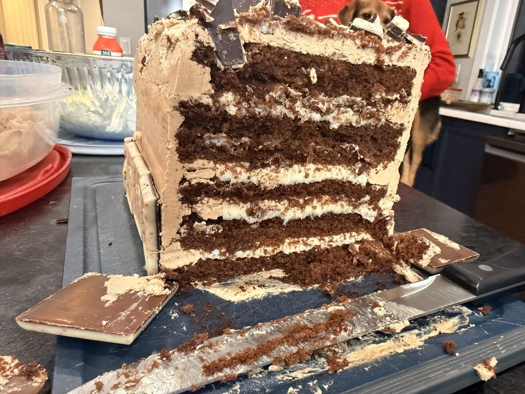 The cake cut open with a knife, layers showing