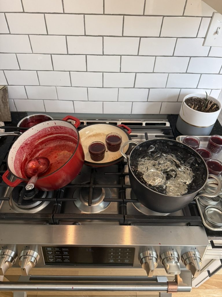 The stove with filled jars beside the pots